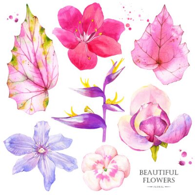 Papier peint  Watercolor collection of pink lily, magnolia, strelitzia, begonia, geranium and clematis. Handmade painting on a white background.