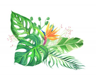 Papier peint  watercolor composition from tropical leaves and strelitzia, bird of paradise. Foliage composition perfect for summer wedding invitation and party card making