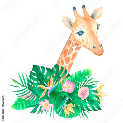 Papier peint  Watercolor cute giraffe with tropical bouquet composition plumeria strelitzia anthurium palm leaves on white background exotic poster for desing