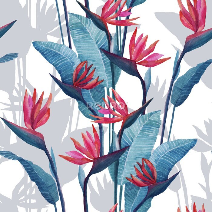Papier peint  Watercolor drawing of a tropical plant strelitzia, on a white background. Seamless pattern on a white background. For textiles, decor, illustration, background, Wallpaper.