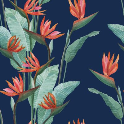Papier peint  Watercolor drawing of strelitzia on a blue background. For textiles, decor, illustration, background, and design. Seamless pattern.