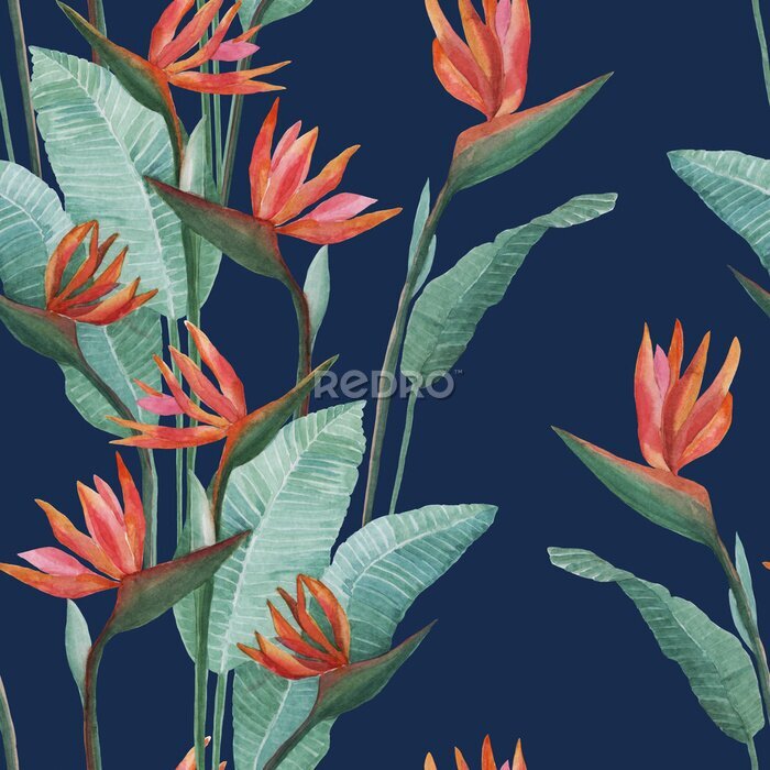 Papier peint  Watercolor drawing of strelitzia on a blue background. For textiles, decor, illustration, background, and design. Seamless pattern.