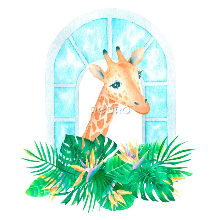 Papier peint  Watercolor exotic tropical composition with giraffe in window strelitzia flowers and tropical palm leaves jungle poster for decor