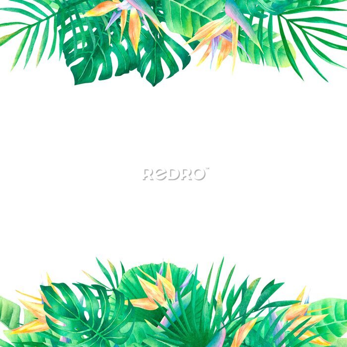 Papier peint  Watercolor exotic tropical frame with palm leaves and jungle flowers floral border with strelitzia reginae