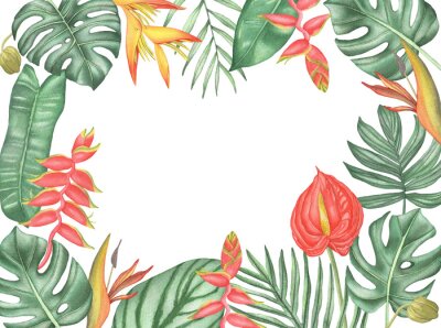Papier peint  Watercolor Frame of tropical flowers and leaves. Hand drawing palm leaves, monstera, strelitzia, anthurium, heliconia