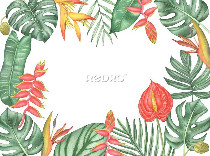Papier peint  Watercolor Frame of tropical flowers and leaves. Hand drawing palm leaves, monstera, strelitzia, anthurium, heliconia