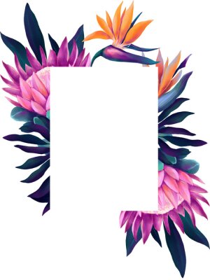 Papier peint  Watercolor frame with neon colored strelitzia and protea flowers