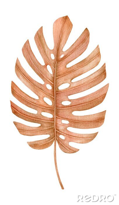 Papier peint  Watercolor golden dried fan palm leaf. Monstera leaf. Exotic beige clipart isolated on the white background. Hand-drawn illustration. California boho style.