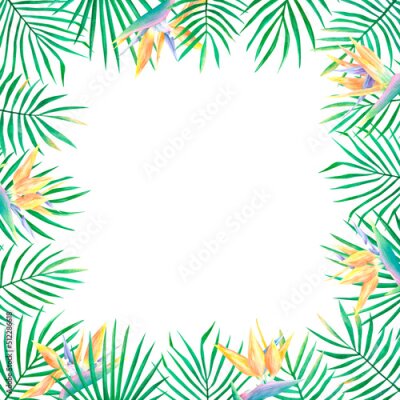 Papier peint  Watercolor hand drawn exotic tropical frames with palm leaves and strelitzia reginae flower isolated on white background