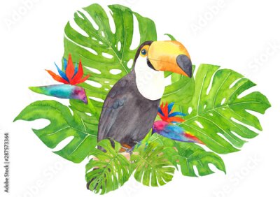 Papier peint  Watercolor hand painted illustration with Toucan (Ramphastos toco) parrot sitting on tree branch in tropical monstera leaves and colorful strelitzia flowers isolated on white background.
