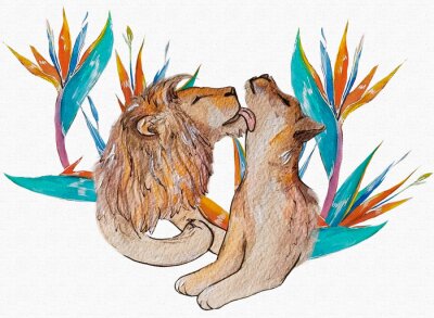 Papier peint  Watercolor illustration lions love on white background. Strelitzia flowers pattern.
