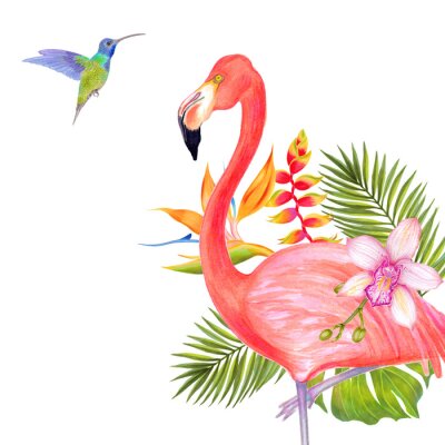 Papier peint  Watercolor illustration of pink flamingo bird with colibri bird, strelitzia pink orchid and peonies flowers. Romantic pink