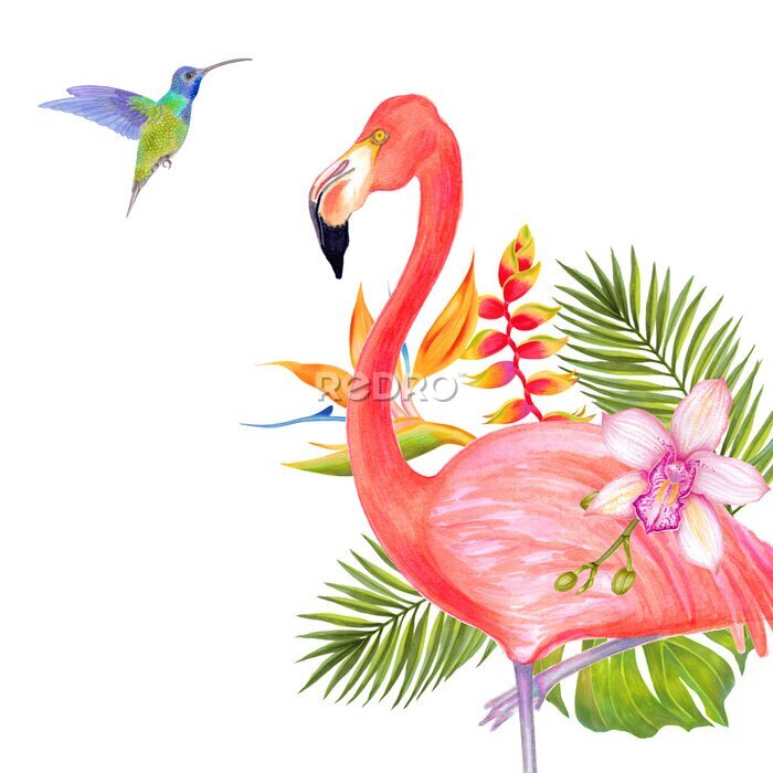 Papier peint  Watercolor illustration of pink flamingo bird with colibri bird, strelitzia pink orchid and peonies flowers. Romantic pink
