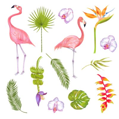 Papier peint  Watercolor illustration of pink flamingo bird with pink orchid, heliconia flowers, strelitzia flower, banana flower. Areca palm, philodendron fern monstera leaf, bamboo leaf. Romantic pink