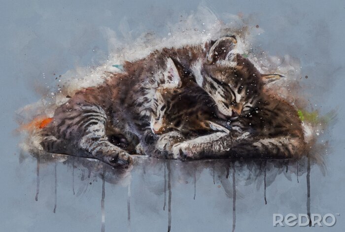 Papier peint  Watercolor illustration, Two little tabby cats sleeping together