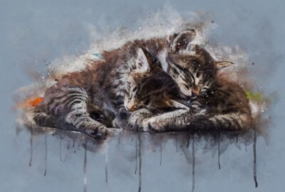 Papier peint  Watercolor illustration, Two little tabby cats sleeping together