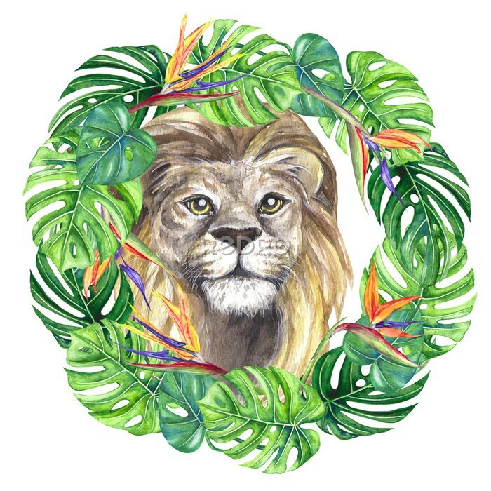 Papier peint  Watercolor illustration wild cat lion in a wreath of tropical leaves, monstera, strelitzia flowers, bright, multicolor isolated on a transparent background