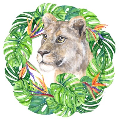 Papier peint  Watercolor illustration wild cat lioness in a wreath of tropical leaves, monstera, strelitzia flowers, bright, multicolor isolated on a transparent background
