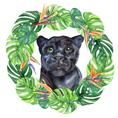 Papier peint  Watercolor illustration wild cat panther in a wreath of tropical leaves, monstera, strelitzia flowers, bright, multicolor isolated on a transparent background