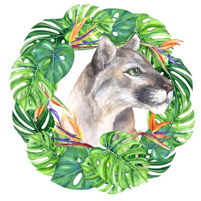 Papier peint  Watercolor illustration wild cat puma in a wreath of tropical leaves, monstera, strelitzia flowers, bright, multicolor isolated on a transparent background
