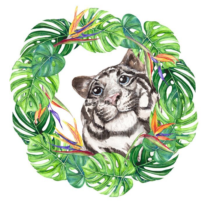 Papier peint  Watercolor illustration wild cat white tiger in a wreath of tropical leaves, monstera, strelitzia flowers, bright, multicolor isolated on a transparent background