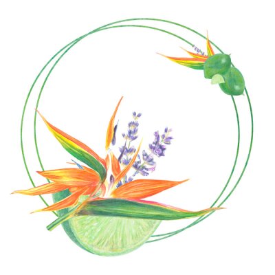 Papier peint  Watercolor isolated illustration of Strelitzia, lavender, lime and leaves, tropical flower composition on a white background