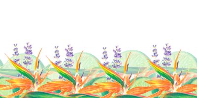 Papier peint  Watercolor isolated illustration of Strelitzia reginae and leaves, lavender, lime, tropical flower composition on a white background