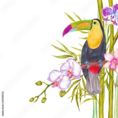 Papier peint  Watercolor marker tropical toucan bird with orchid flowers, strelitzia flower, heliconia, areca palm, fan palm. Colorful tropic background print isolated on white.