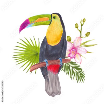 Papier peint  Watercolor marker tropical toucan bird with orchid flowers, strelitzia flower, heliconia, areca palm, fan palm. Colorful tropic background print isolated on white.