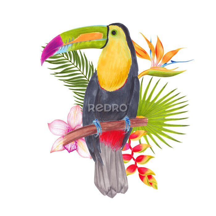 Papier peint  Watercolor marker tropical toucan bird with orchid flowers, strelitzia flower, heliconia, areca palm, fan palm. Colorful tropic background print isolated on white.
