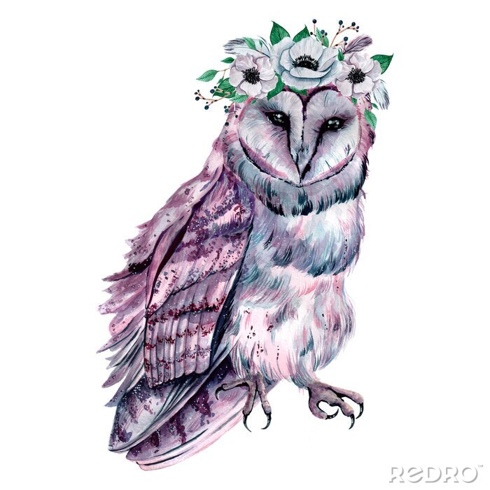 Papier peint  Watercolor owl with flowers. Hand drawn illustration