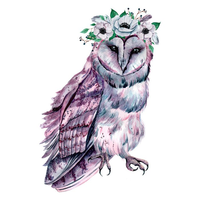 Papier peint  Watercolor owl with flowers. Hand drawn illustration
