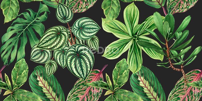 Papier peint  Watercolor painting colorful tropical palm leaf,green leaves seamless pattern background.Watercolor hand drawn illustration tropical exotic leaf prints for wallpaper,textile Hawaii aloha jungle style.
