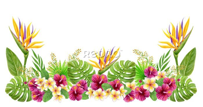 Papier peint  Watercolor painting with strelitzia, hibiscus rose flowers, frangipani and palm leaves. Design border element. Aloha Hawaii greeting.