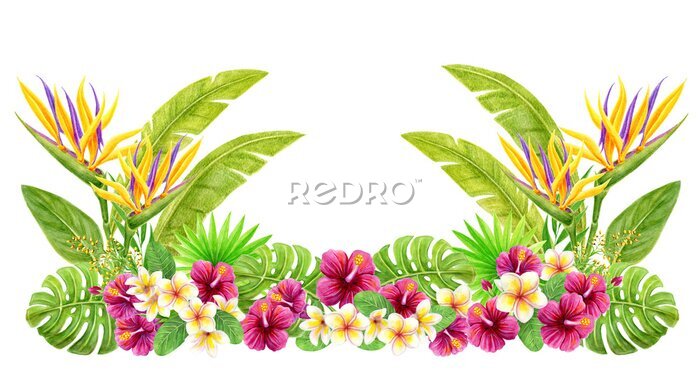 Papier peint  Watercolor painting with strelitzia, hibiscus rose flowers, frangipani and palm leaves. Design border element. Aloha Hawaii greeting.
