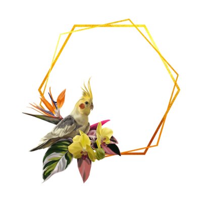 Papier peint  watercolor realistic frame. Tropical frame with corella parrot, orchids and strelitzia.