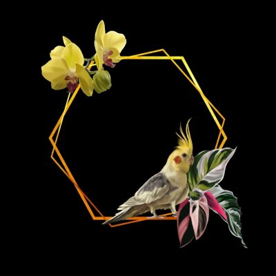 Papier peint  watercolor realistic frame. Tropical frame with corella parrot, orchids and strelitzia.