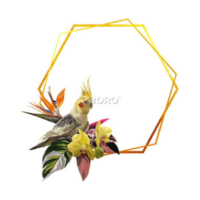 Papier peint  watercolor realistic frame. Tropical frame with corella parrot, orchids and strelitzia.