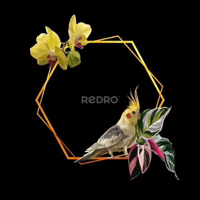 Papier peint  watercolor realistic frame. Tropical frame with corella parrot, orchids and strelitzia.