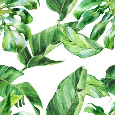 Papier peint  Watercolor seamless pattern, tropical leaves on an isolated background, watercolor painting, botanical illustration, floral design, banana palms, monstera, strelitzia.