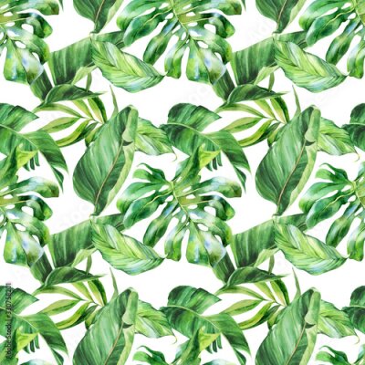 Papier peint  Watercolor seamless pattern, tropical leaves on an isolated background, watercolor painting, botanical illustration, floral design, banana palms, monstera, strelitzia.