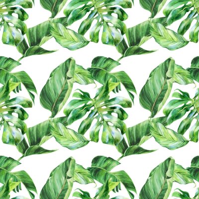 Papier peint  Watercolor seamless pattern, tropical leaves on an isolated background, watercolor painting, botanical illustration, floral design, banana palms, monstera, strelitzia.