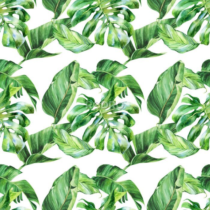 Papier peint  Watercolor seamless pattern, tropical leaves on an isolated background, watercolor painting, botanical illustration, floral design, banana palms, monstera, strelitzia.
