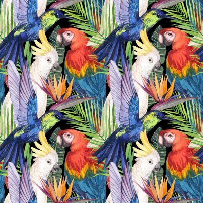 Papier peint  Watercolor seamless pattern with birds in the tropics. Cockatoo parrot, Macaw, hummingbird in tropical jungle with strelitzia flower. Print for design and decoration