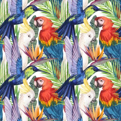 Papier peint  Watercolor seamless pattern with birds in the tropics. Cockatoo parrot, Macaw, hummingbird in tropical jungle with strelitzia flower. Print for design and decoration