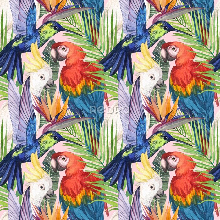 Papier peint  Watercolor seamless pattern with birds in the tropics. Cockatoo parrot, Macaw, hummingbird in tropical jungle with strelitzia flower. Print for design and decoration