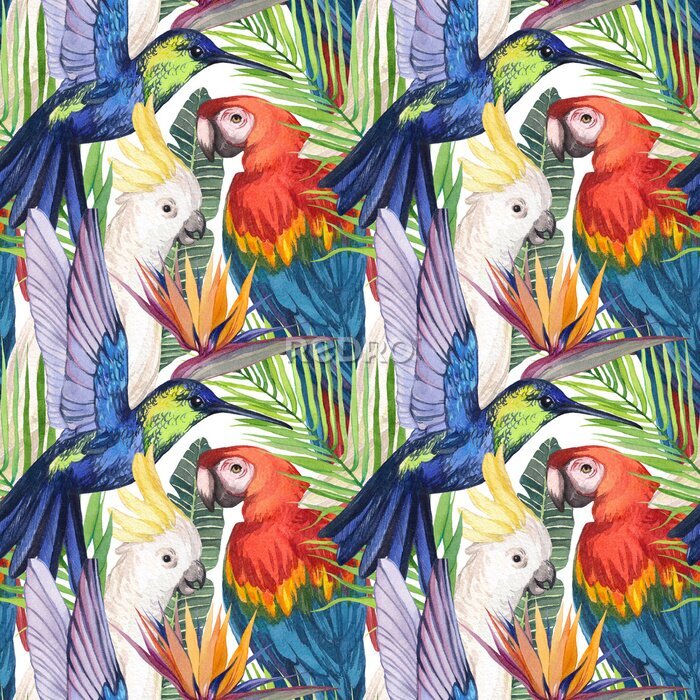 Papier peint  Watercolor seamless pattern with birds in the tropics. Cockatoo parrot, Macaw, hummingbird in tropical jungle with strelitzia flower. Print for design and decoration