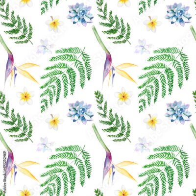 Papier peint  Watercolor seamless pattern with fern, strelitzia, succulents on white background