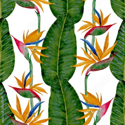 Papier peint  Watercolor seamless pattern with strelitzia
