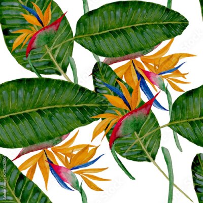 Papier peint  Watercolor seamless pattern with strelitzia